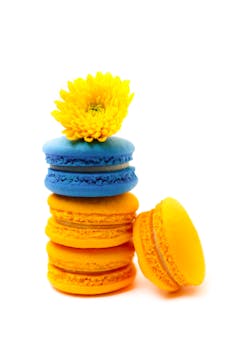 Vlogthunder Pelaa Pokeria: Vastaukset Ja Pelityylit Suomalaisessa Kasinopokerissa