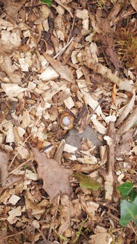 Kasino Ei Kierrätystä: Tieto Ja Ohjeet