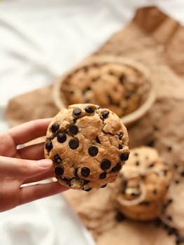 Nettikasinot Kokemuksia Trexanista: Arvostelu Ja Käyttäjäkokemukset