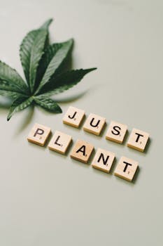 Op Asuntolaina Laskuri: Tietoa Ja Käyttöopas Asuntolainan Arviointiin