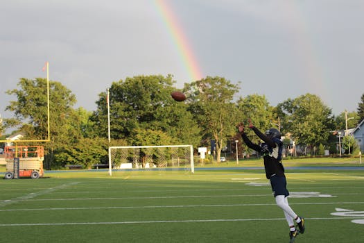 Pelikone Fi Pasianssi: Peliautomaattien Ja Videolähtöjen Maailma
