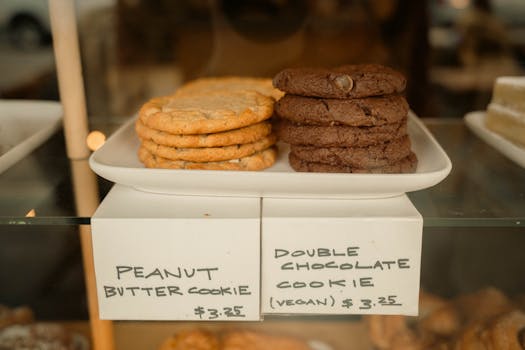 Celianet Ja Omat Lainat: Näkymä Ja Hallinta Suomalaisessa E-aineistossa