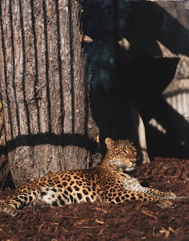 Tiedot Kasino Pisteistä: Pelisäännöt Ja Strategiat