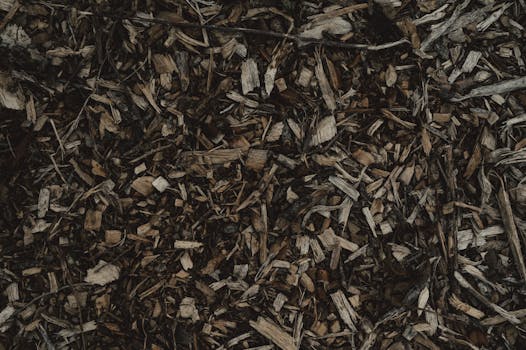 Remonttilainan Korot: Maksut Ja Vertailu Eri Vaihtoehdoilla