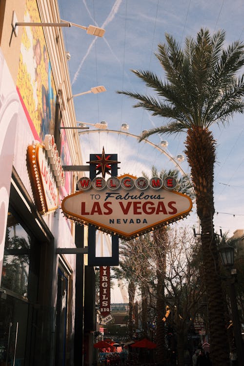 Lainan Haku OP: Opas Lainan Hakemiseen Ja Prosessiin