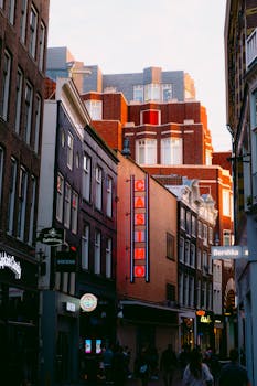 Suomalaiset Casinopelit: Selkeä Katsaus Suosituimpiin Peleihin Ja Trendeihin