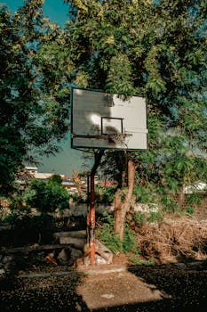 Laina S Pankista: Hyödyt, Hakeminen Ja Takaisinmaksu