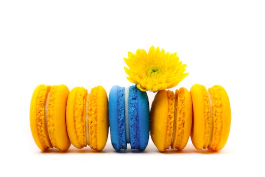 Paf Rahapelit: Tietoa Suomalaisesta Kasinotoimijasta Ja Pelimahdollisuuksista