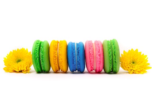 Nordean Lainahakemukset: Opas Nordea Finland-lainoihin