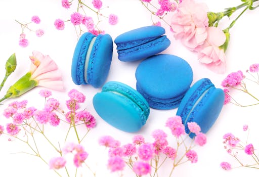 Guide To 800 Laina: Understanding, Usage, And Benefits