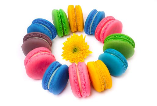 Vene Lainan Vakuutena: Käytännön Opas Ja Vakuutustavat