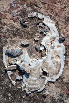 Varma Voitto Casino: Vinkit Ja Strategiat Menestymiseen