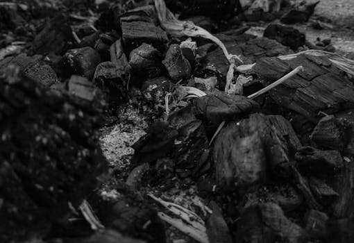 Lainan Haku OP: Opas Lainan Hakemiseen Ja Prosessiin