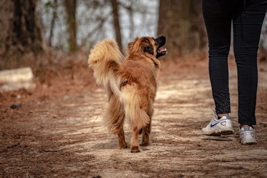 Maksu Luottokortilla Verkkopankissa: Ohjeet Ja Turvallisuusvinkit