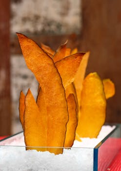 Älypää Solitaire – Korttipelit Ja Pasianssit Netissä