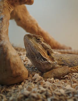 Sijoituslaina Danske: Käytännöt Ja Mahdollisuudet Suomessa