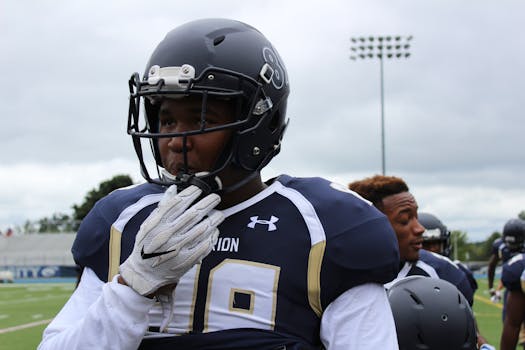 Lainan Haku OP: Opas Lainan Hakemiseen Ja Prosessiin