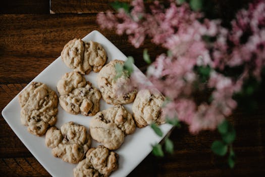 Lainan Haku OP: Opas Lainan Hakemiseen Ja Prosessiin