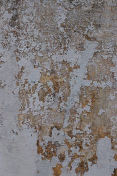 Warkop Kasino: Tietoja Ja Pelitavat Suomessa