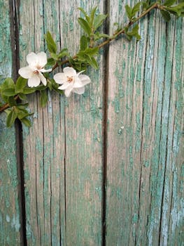 Huikee Kasino Kotiutus: Opas Rahansiirtoihin Ja Turvallisuuteen