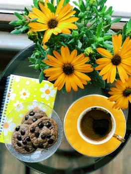 Laina Laskin: Opas Lainalaskimen Käyttöön Ja Vertailuun