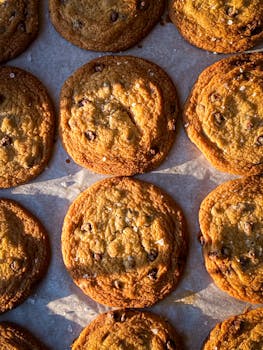 Speedy Casino Suomi: Pikakasino Vertaileminen Ja Käyttökokemukset