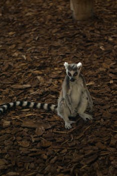 Ray Pokeri Kokemuksia Trexanista: Pelaajien Arviot Ja Kokemukset